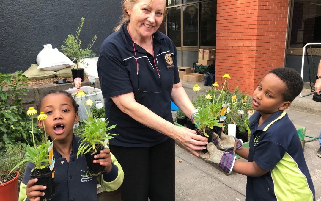 Debney Meadows School Kitchen Garden