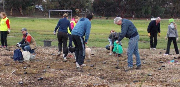 Essendon North Clean Ups