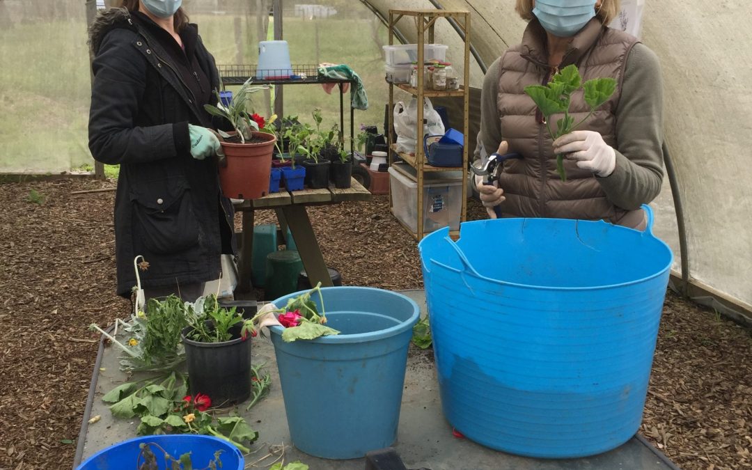 Narana Bush Tucker Garden